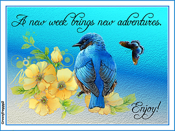 NEW WEEK, NEW, COMMENT, WEEK, CARD HD wallpaper