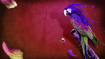 Animated Aquarium Screensaver For Mobile : 3d HD wallpaper