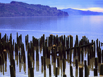 columbia_river_washington, blue, bamboo, sky, nature, water, beach, mountain HD wallpaper