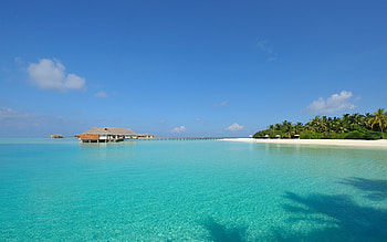 Nature, Sky, Palms, Shore, Bank, Relaxation, Rest, Tropics, Hut, Resort, Heat, Warmth, Clear, Bungalow, Azure HD wallpaper