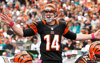 Cincinnati Bengals, NFL , High definition, Baltana HD wallpaper
