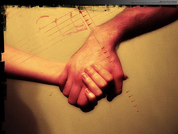 Together 4ever..., hold, life, graphy, love, ever, hands, for, together HD wallpaper