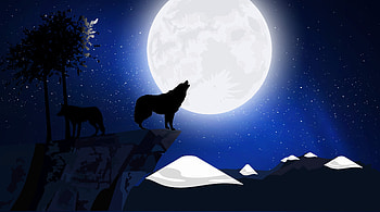 Wolf Howling, wolf, artist, artwork, digital-art, moon, howling HD wallpaper