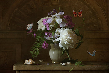 Still Life, shells, peonies, peony, vase, colors, butterflies, butterfly, pretty, nature, flowers HD wallpaper