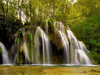 Roots_of_Life, cool, waterfall, , roots-of-life HD wallpaper