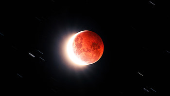 Flower Blood Moon , moon, nature HD wallpaper