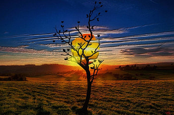 Colinas doradas, color, sol, fantasia, vista HD wallpaper