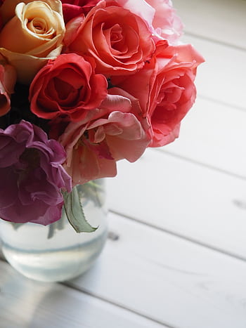 A colorful arrangement of roses in a glass vase, with warm sunlight highlighting their natural beauty. HD phone wallpaper
