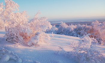 Landscape, Winter, Nature HD wallpaper