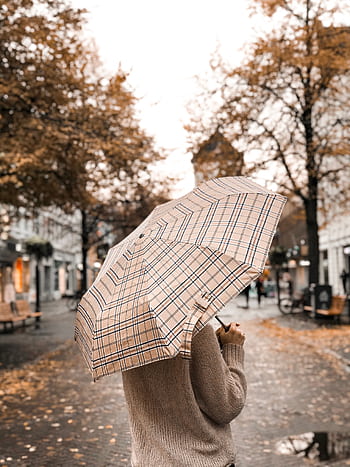 Person with umbrella strolling through a rainy street lined with autumn leaves and trees. HD phone wallpaper