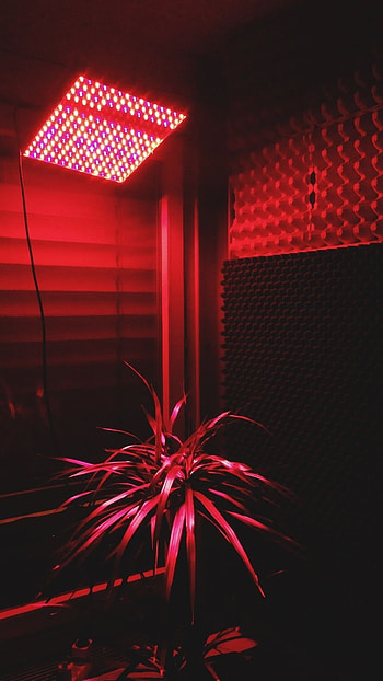Red Aesthetic, Red Light HD phone wallpaper