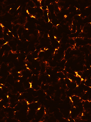 Fire, Patterns, Dark, Texture, Textures, Fiery HD phone wallpaper