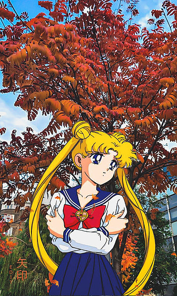 Anime girl, , , fall, , android, android , autumn, sailor moon HD phone wallpaper