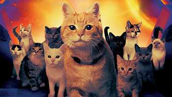 The Marvels: Quad Feline Squadron, movie, The Marvels HD wallpaper
