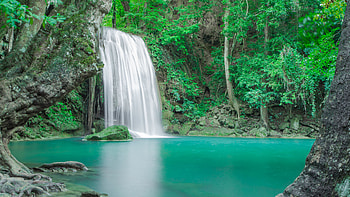 Beautiful Waterfall From Rock Pouring On Lake Between Green Trees Bushes Forest Background Nature HD wallpaper