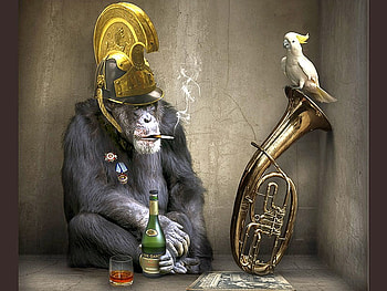 Gentlemonkey, funny HD wallpaper