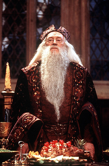 MP Sam Gyimah quotes, Harry Potter's Professor Dumbledore HD phone wallpaper