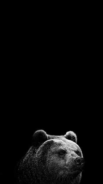 Bear, Artistic , Cute illustrations, background HD phone wallpaper