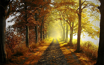 Landscape, Roads, Autumn HD wallpaper