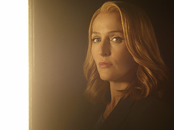 The X Files, the-x-files, tv-shows HD wallpaper