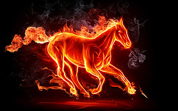 Fiery Horse , horse, abstract, artist, artwork, digital-art, flame HD wallpaper