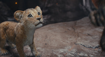 Mufasa's Legacy: from The Lion King, movie, Mufasa: The Lion King HD wallpaper