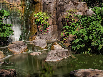 Golden Gate Park, Strawberry hill, California, Big city park HD wallpaper