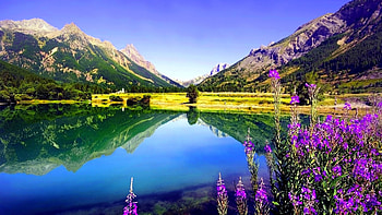 Spring Lake, reflection, nature, flowers, spring, lake, mountain HD wallpaper