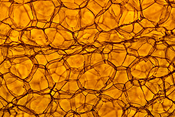 Bubbles, Macro, Texture, Textures, Brown, Volume HD wallpaper
