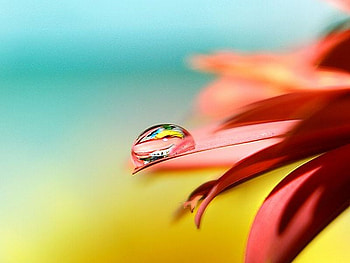 Water Drop, cool, drop, water HD wallpaper