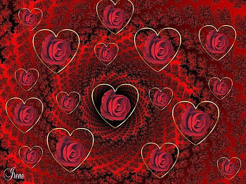 HEARTS AND ROSES FIFTEEN HEARTS, gorgeous, beautiful, redroses HD wallpaper