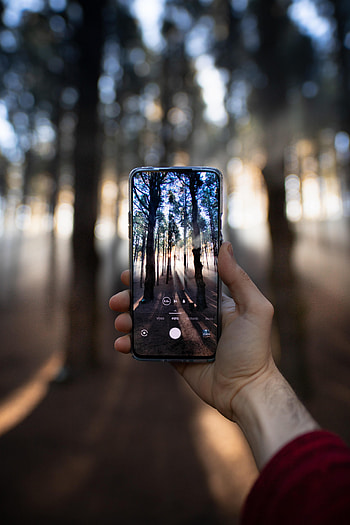 Hand, Miscellanea, Miscellaneous, Beams, Rays, Forest, Camera, Tele HD phone wallpaper