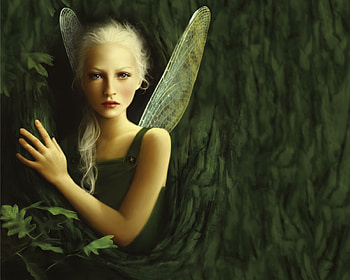Fairy, Fantasy HD wallpaper
