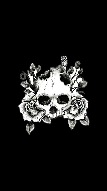 Skeleton in Rose's, art, ornament, drawing, rose HD phone wallpaper