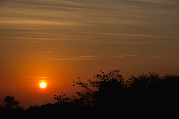Nature, Trees, Sunset, Sky, Sun HD wallpaper