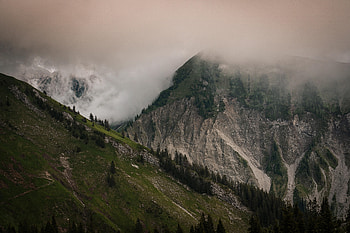 Nature, Trees, Mountains, Rocks, Fog, Slope HD wallpaper