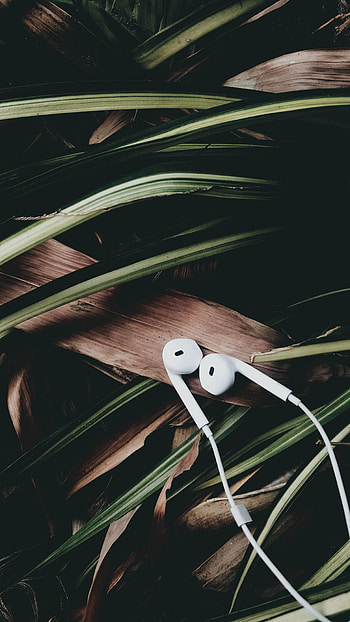 Music, Leaves, Heads, Audio HD phone wallpaper