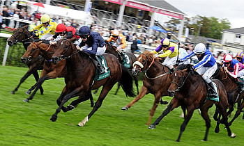 Horse racing , Horse racing backgrounds, Horse racing , Equestrian sports HD wallpaper