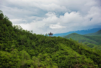 Nature, Building, Forest, Hills, Pagoda HD wallpaper
