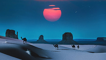 Camel Desert Outrun, camel, desert, outrun, artist, artwork, digital-art HD wallpaper