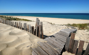 almost there, relaxing, ocean sand, walk, beauty, beach, summer, wood, nature, sun HD wallpaper