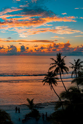 Experience the vibrant sunset over Fuvahmulah Beach with palm silhouettes and tranquil sea. HD phone wallpaper