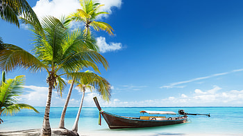 Landscape, Beach, Palms, Boats HD wallpaper