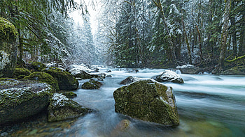 Icy Index Creek, Washington, trees, river, forest, rocks, usa HD wallpaper