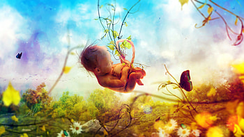 Fetus, nature, baby, dream, surreal, fantasy HD wallpaper