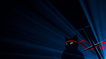 Ninja Cat , cat, ninja, artist, artwork, digital-art HD wallpaper