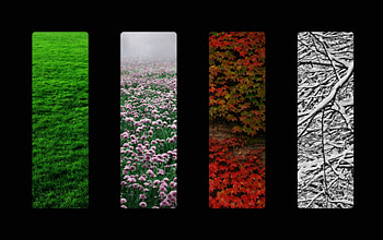 Seasons, abstract, dark, collage HD wallpaper