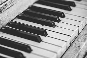 A close-up black and white of vintage piano keys, showcasing classic musical instrument detail. HD wallpaper