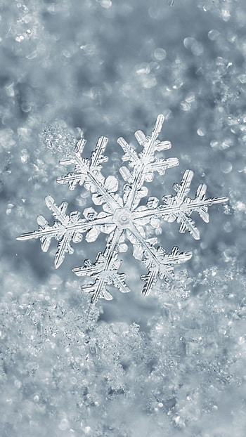Snow, Snowflake HD phone wallpaper