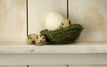 *** Happy Easter ***, colorful, happy, easter, eggs, food HD wallpaper